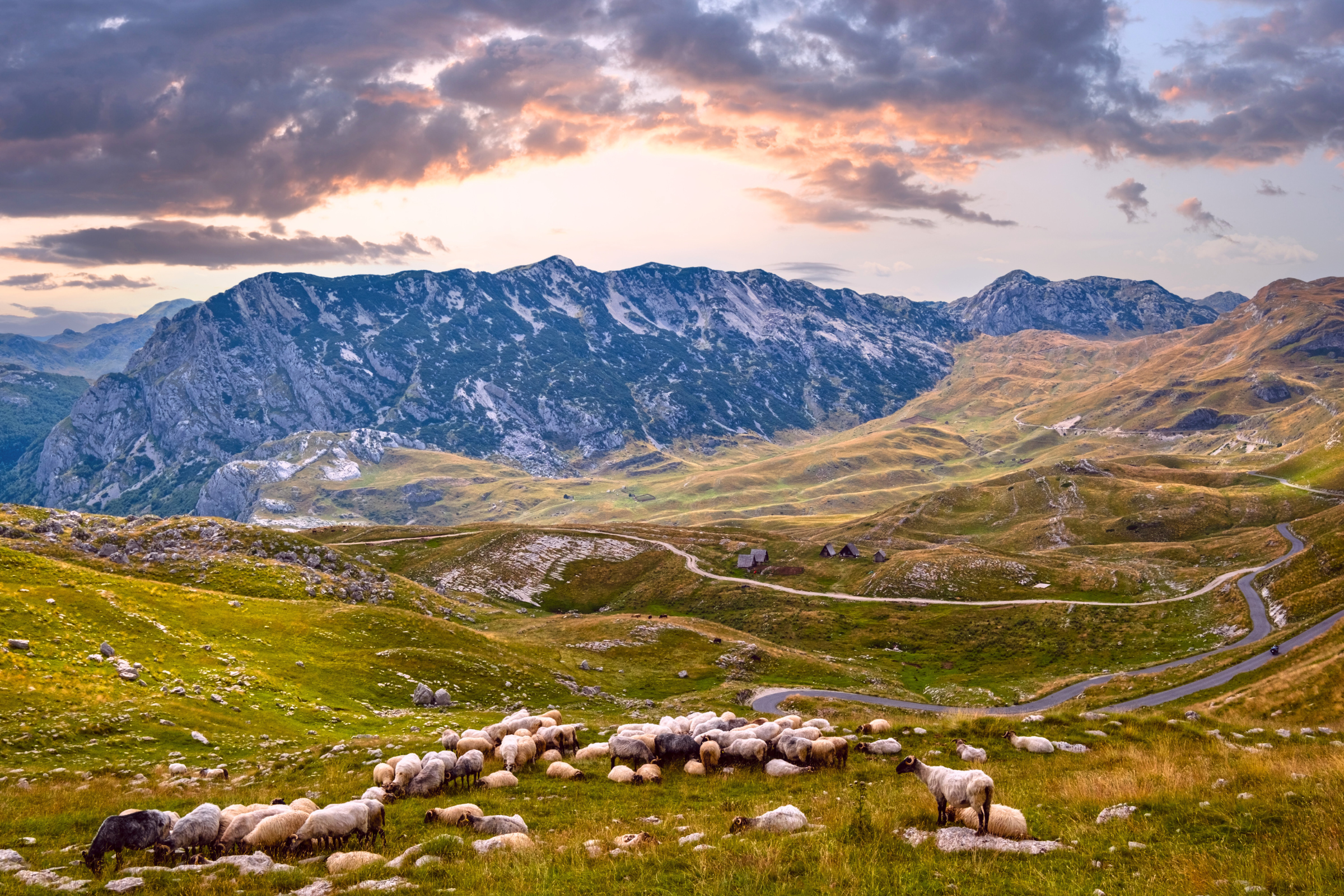49_Durmitor_National_Park[1].webp